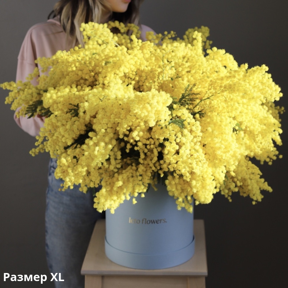 Mimosa in a hat box – Order Flower Delivery to Moscow | Buy and