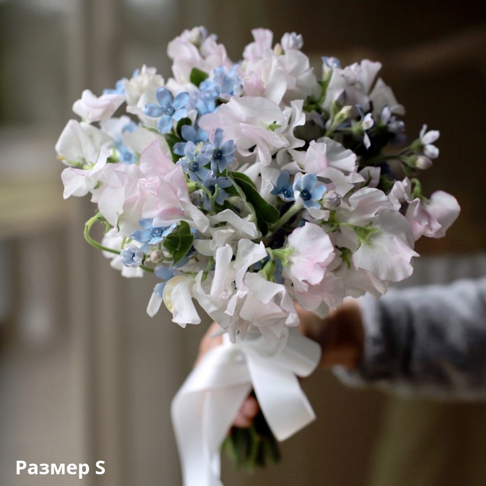 Sweet Pea with Oxypetalum Bouquet